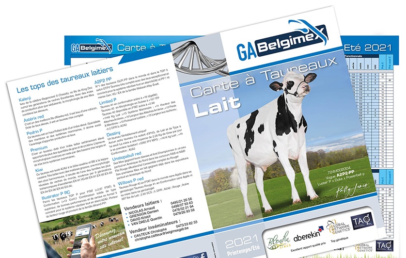 Gabelgimex, Carte à taureaux, laitier